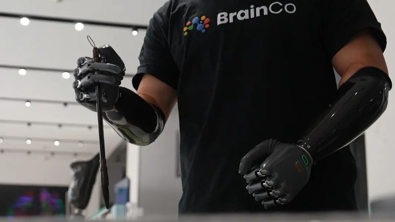 定制化与标准化：教育机构数字化解决方案的差异化选择**